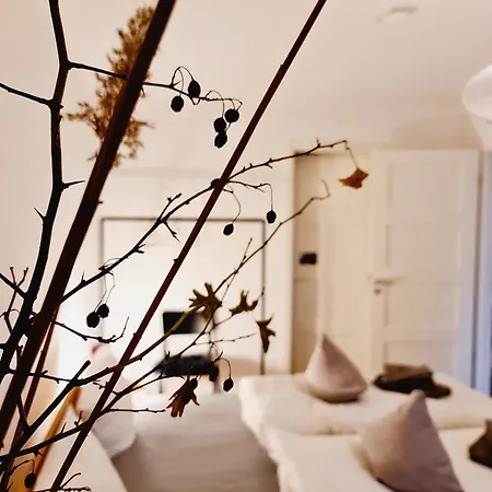 아파트 Sunset Nr6